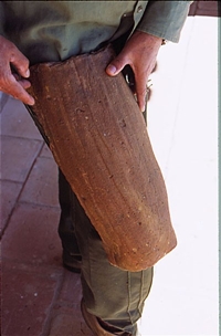 Teja Muslera